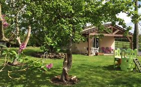 Gîte de la Grenouille